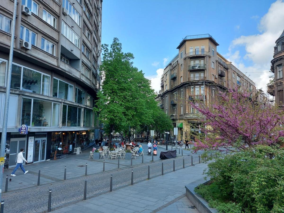 Lotta Apartment Belgrade Luaran gambar